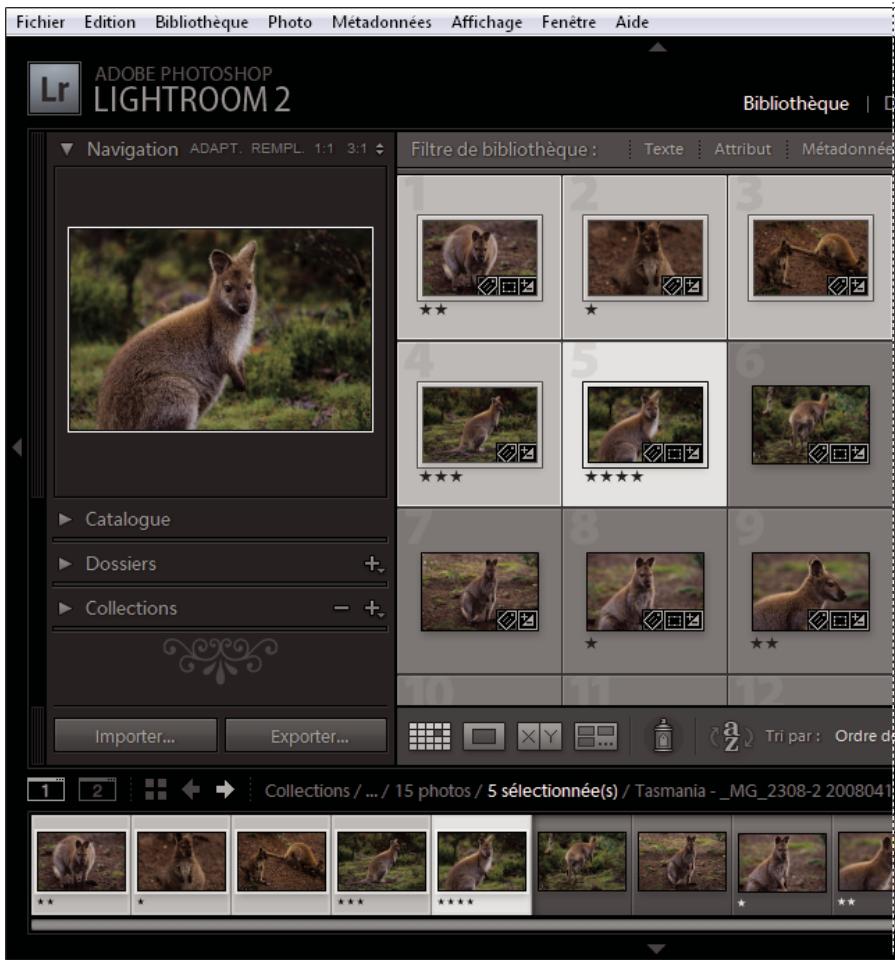 ADOBE LIGHTROOM 2 - Sélection des photos en mode Grille et dans le film fixe - 1