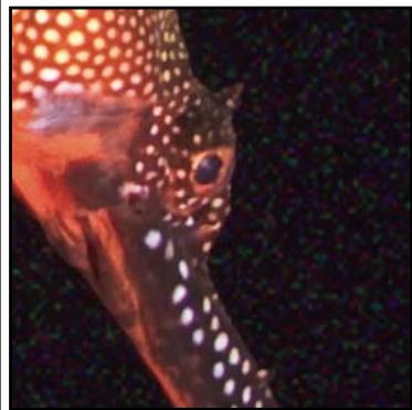 ADOBE LIGHTROOM 2 - Réduction du bruit de l'image - 3