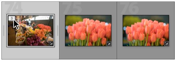 ADOBE LIGHTROOM 2 - A propos des piles - 1