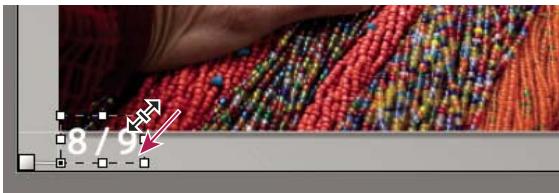 ADOBE LIGHTROOM 2 - Mise à l'échelle du texte et d'autres objets dans une diapositive - 1