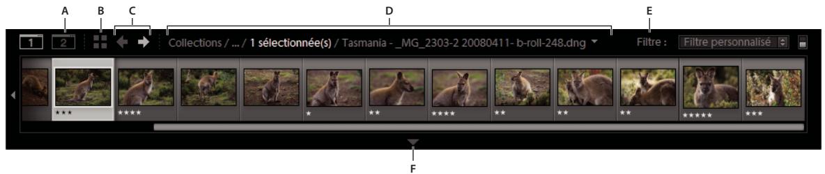 ADOBE LIGHTROOM 3 - Présentation du film fixe - 1