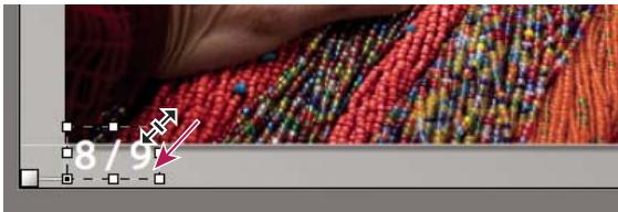 ADOBE LIGHTROOM 3 - Mise à l'échelle du texte et d'autres objets dans une diapositive - 1