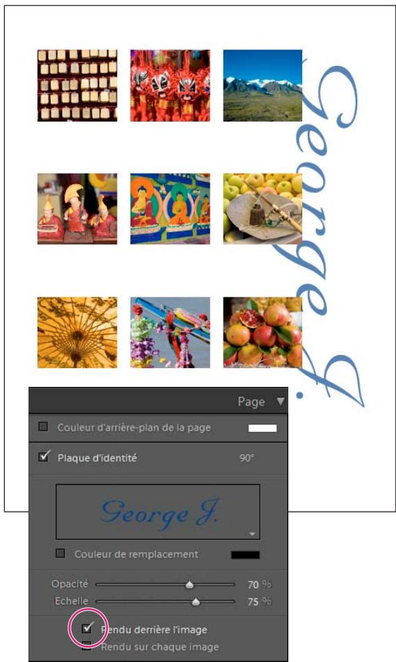 ADOBE LIGHTROOM 3 - Impression de votre plaque d'identité - 1