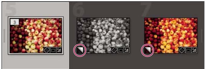 ADOBE LIGHTROOM 3 - Création de copies virtuelles - 1