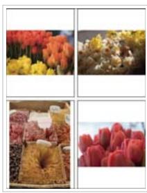 ADOBE LIGHTROOM 3 - Définition de la méthode de remplissage des cellules d'image avec les photos - 1