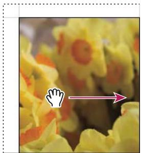 ADOBE LIGHTROOM 3 - Définition de la méthode de remplissage des cellules d'image avec les photos - 2