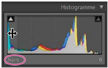 ADOBE LIGHTROOM 3 - Lecture des histogrammes de l'image - 1