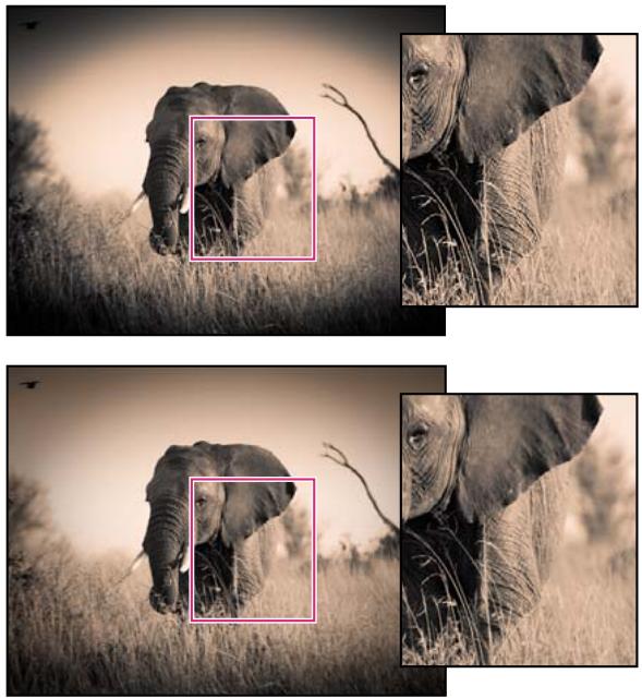 ADOBE LIGHTROOM 3 - Mise à jour de la version de processus - 1