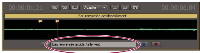 ADOBE ONLOCATION CS4 - Modification ou suppression d'une marque de commentaire - 1