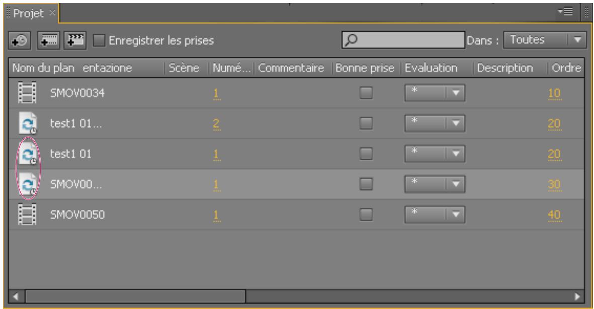 ADOBE ONLOCATION CS5 - Ajout ou duplication de pseudo-éléments de plan - 1