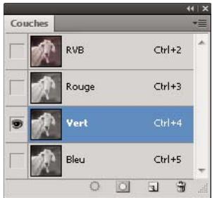 ADOBE PHOTOSHOP CS5 - Renforcement de la netteté d'une image à l'aide d'un masque de contour - 2