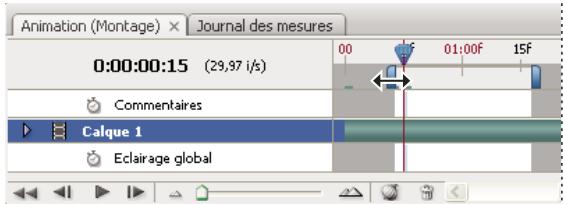 ADOBE PHOTOSHOP CS5 - Définition de la zone de montage à prévisualiser (Photoshop Extended) - 1