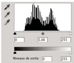 ADOBE PHOTOSHOP CS5 - Utilisation de la boîte de dialogue Niveau pour préserver des détails de tons clairs et de tons fonçés pour l'impression - 4
