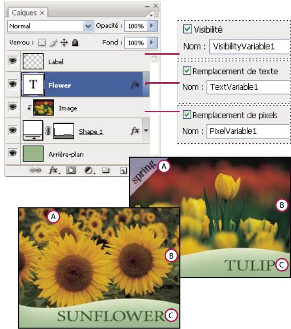 ADOBE PHOTOSHOP CS5 - Définition des variables - 1