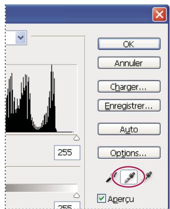 ADOBE PHOTOSHOP CS5 - Affichage des valeurs chromatiques dans une image - 2