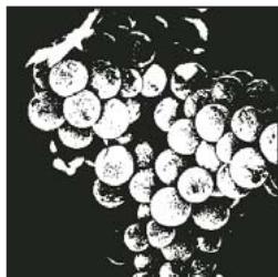 ADOBE PHOTOSHOP CS5 - Conversion d'une image en mode Bitmap - 2
