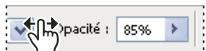 ADOBE PHOTOSHOP CS5 - A propos des curseurs de proximité - 1