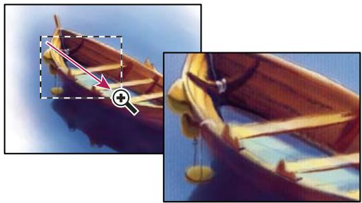 ADOBE PHOTOSHOP CS5 - Agrandissement d'une zone spécifique - 1