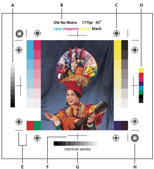 ADOBE PHOTOSHOP CS5 - Définition des options de sortie - 1