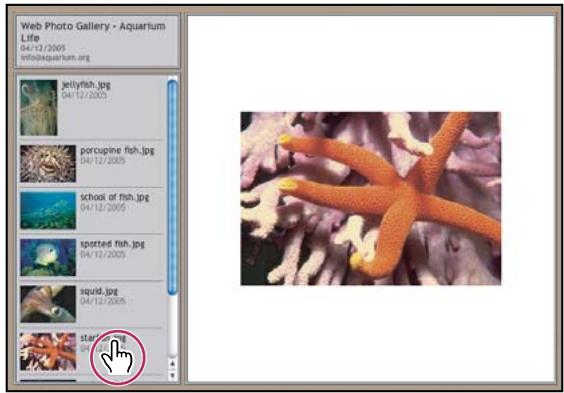 ADOBE PHOTOSHOP CS5 - A propos des galleries de photos Web - 1