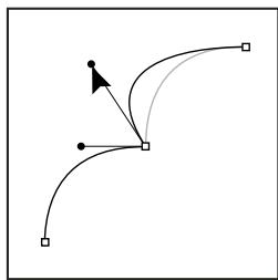 ADOBE PHOTOSHOP CS5 - Segments, composants et points de tracés - 5