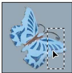 ADOBE PHOTOSHOP CS5 - Déplacement d'un cadre de sélection - 2
