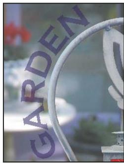 ADOBE PHOTOSHOP CS5 - Création d'une nouvelle couche de ton direct - 3