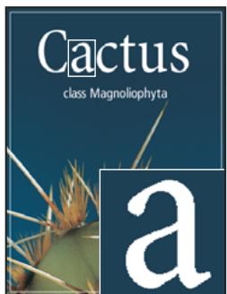 ADOBE PHOTOSHOP CS5 - Lissage du calque de texte - 1