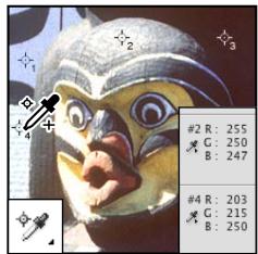 ADOBE PHOTOSHOP CS5 - Galerie d'outils d'annotation, de mesure et de navigation - 2