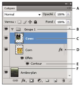 ADOBE PHOTOSHOP CS5 - Présentation du panneau Calques - 2