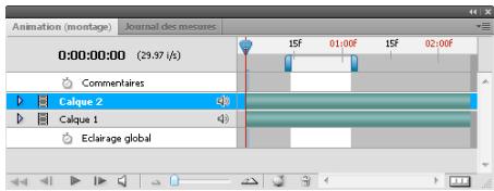 ADOBE PHOTOSHOP CS5 - Commande Relever la zone de travail (Photoshop Extended) - 1