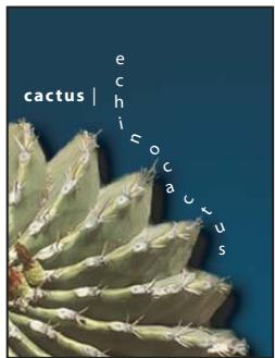 ADOBE PHOTOSHOP CS5 - Création de texte le long ou à l'intérieur d'un tracé - 2
