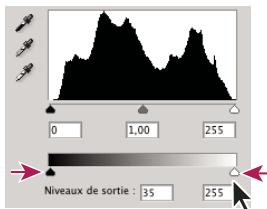 ADOBE PHOTOSHOP CS5 - Utilisation de la boîte de dialogue Niveau pour préserver des détails de tons clairs et de tons fonçés pour l'impression - 3