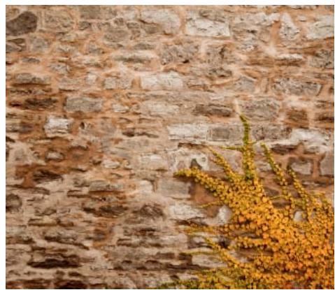 ADOBE PHOTOSHOP CS5 - Remplissages sensibles au contenu, à partir d'un motif ou de l'historique - 2