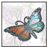 ADOBE PHOTOSHOP CS5 - A propos des masques et des couches alpha - 6