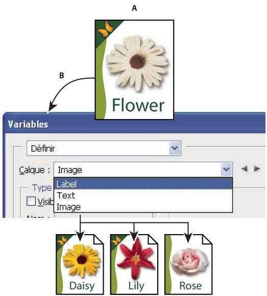 ADOBE PHOTOSHOP CS5 - Générez des graphiques en les exportant avec les données. - 1