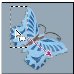 ADOBE PHOTOSHOP CS5 - Déplacement d'un cadre de sélection - 1