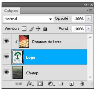 ADOBE PHOTOSHOP CS5 - Masquage de calques avec des masques d'échéage - 2