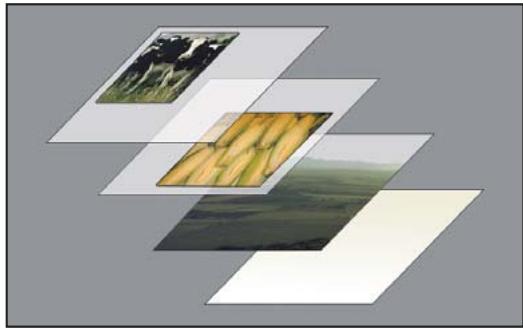 ADOBE PHOTOSHOP CS5 - A propos des calques - 2
