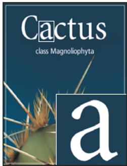 ADOBE PHOTOSHOP CS5 - Lissage du calque de texte - 2