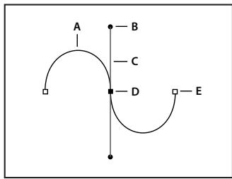 ADOBE PHOTOSHOP CS5 - Segments, composants et points de tracés - 1