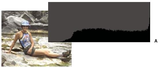 ADOBE PHOTOSHOP ELEMENTS 10 - Voir aussi - 1