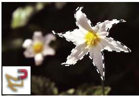 ADOBE PHOTOSHOP ELEMENTS 10 - Voir aussi - 5