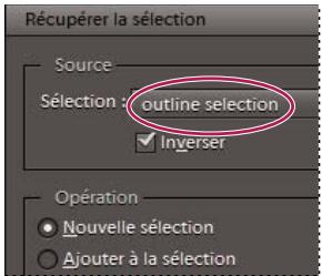 ADOBE PHOTOSHOP ELEMENTS 10 - Mémorisation, récapitulation ou suppression d'une sélection - 4