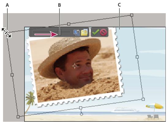 ADOBE PHOTOSHOP ELEMENTS 10 - Repositionnement ou redimensionnement de photos dans un projet photo - 1