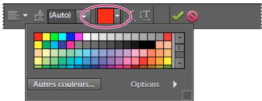 ADOBE PHOTOSHOP ELEMENTS 10 - Modification de la couleur de texte - 1