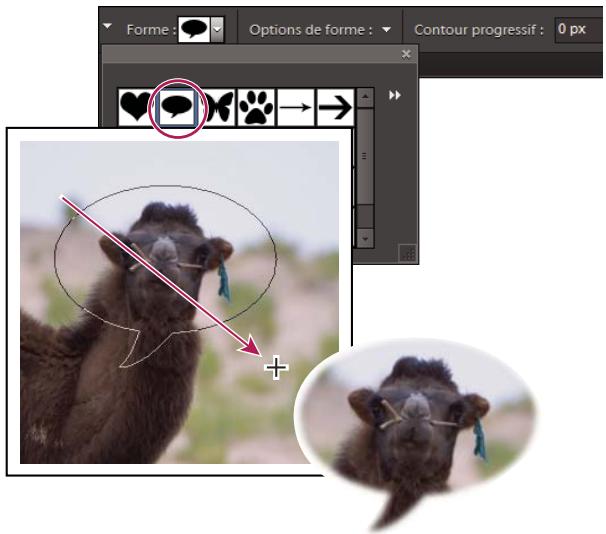 ADOBE PHOTOSHOP ELEMENTS 10 - Utilisation de l'outil emporte-pièce - 1
