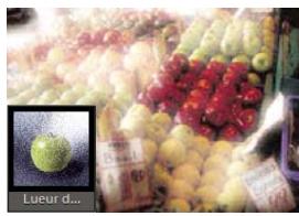 ADOBE PHOTOSHOP ELEMENTS 10 - Filtres - 2