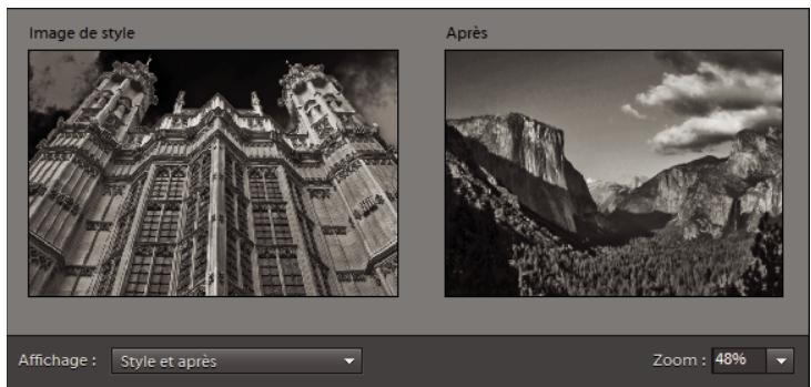 ADOBE PHOTOSHOP ELEMENTS 10 - Concordance de style photomerge - 4