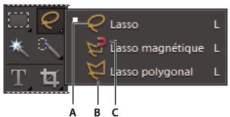 ADOBE PHOTOSHOP ELEMENTS 10 - Utilisation de l'outil lasso - 1